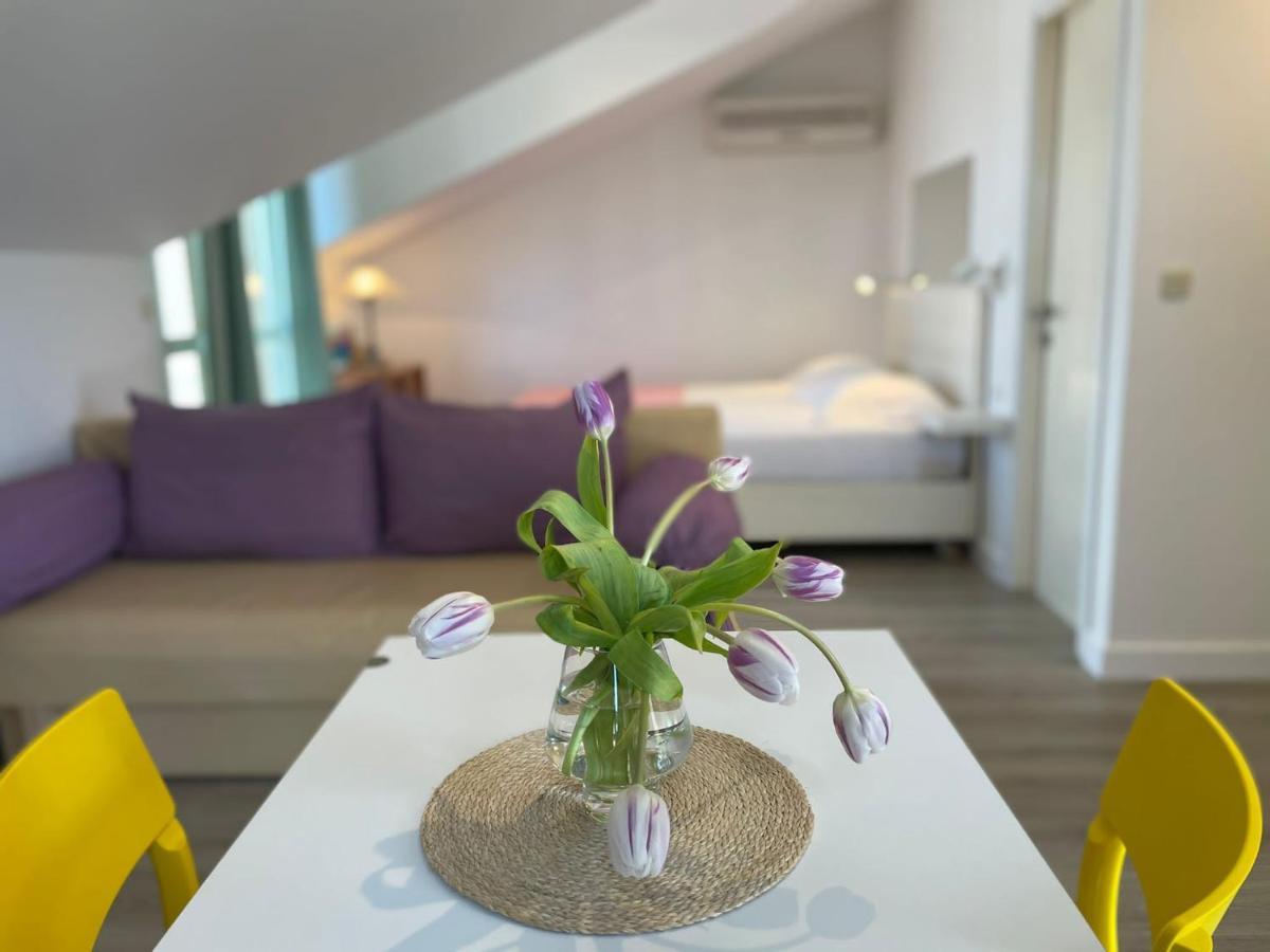 Apartments Carol 察夫塔特 外观 照片